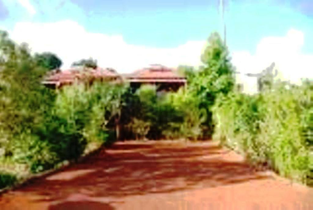 Villa Braslontan à Le Tampon Extérieur photo